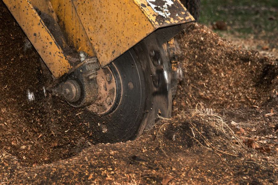 Stump grinder cutting a stump in Madison, TN